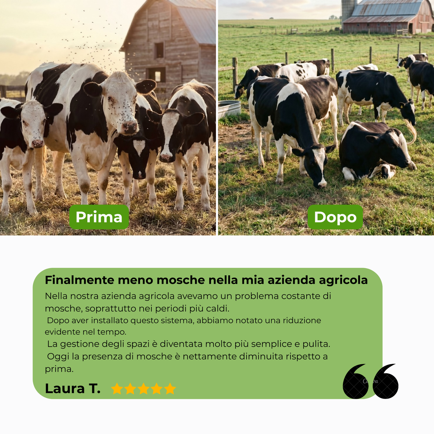 Sistema Antimosche Versione 2026 by Luxyduc™