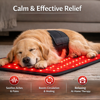 luxyduc™ –  LED Red Light Therapy Pad