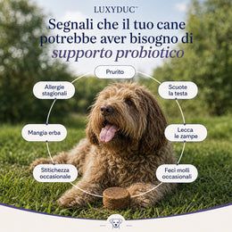 LUXYDUC™ Bocconcini Probiotici Morbidi per Cani Clinicamente Studiati.